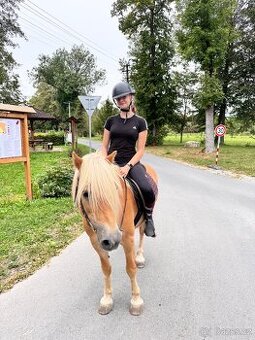 Na prodej – Hafling valach MAX