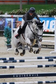 Skvělý parťák s výkonností 140 cm