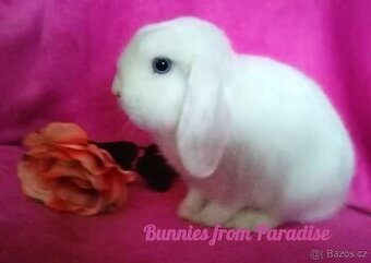 MODROOKÝ SNĚHOVĚ BÍLÝ SATÉNOVÝ KLUČÍK ❤️❤️❤️