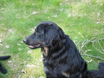 daruji ze zdravotních důvodů