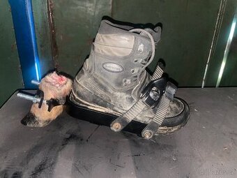 Stopařské boty - barvář