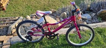 Superior Paint 20" - TOP STAV