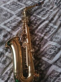 Es Alt Saxofon Roy Benson AS202 zlatolak cena snížena víkend