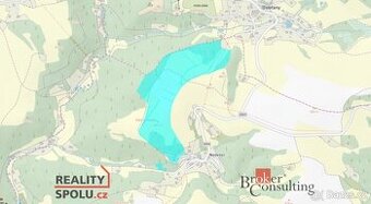 Prodej, pozemky/pole, 125617 m2, 51801 Dobruška, Rychnov nad