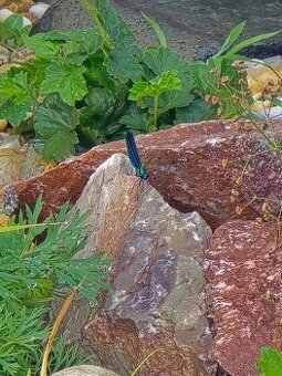 Kámen na stavbu jezírka, solitérní kameny