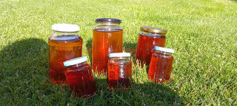 bezový sirup