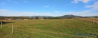 Louka 17.068 m2, Police nad Metují - Radešov