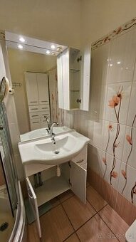 Zrcadlová skříňka s umyvadlem