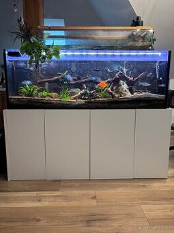 Akvárium 280 litrů