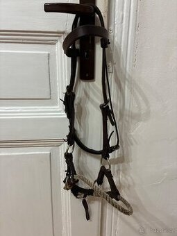 Westernový sidepull