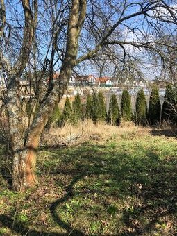 Pronajmu zahradu 800 m2 v Senci u Plzně, 150m od MHD