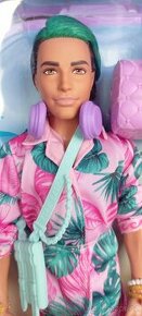 Barbie Ken Extra Fly
