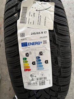 Nokian Tyres WR SUV 4 215/65 R17