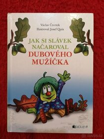 JAK SI SLÁVEK NAČAROVAL DUBOVÉHO MUŽIČKA