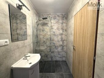 Pronájem bytu 3+1, ul. Pod Strání, Meziboří