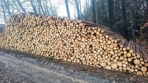 Palivové dřevo
