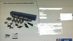 VstřikovačePD+Vačka Kolben Schmidt motor 1,9TDi,BLS