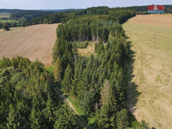 Prodej lesa, 1501 m², Kamenice nad Lipou