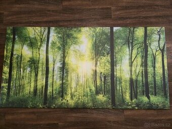Obraz 140x70
