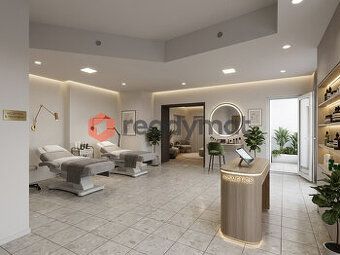 Pronájem komerčních, obchodních prostor, Hodonín