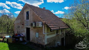 Prodej rodinný dům na pozemku 2.960, Mančice u Rašovic, Uhlí