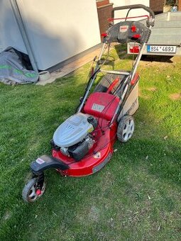 Hecht 5563 SXE