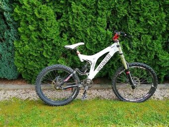 Specialized sjezďák