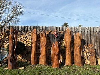 DUBOVÁ PARTA -ANDĚLÉ