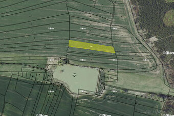 Černé Voděrady (6 729 m2) - 1