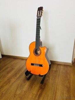 Takamine Jasmine TC28C