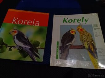 Korela cockatiel