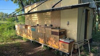 Prodám včelí oddělky 5r na rámkové míře 39x24