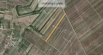 Prodej vinice v k.ú. Velké Bílovice - 1
