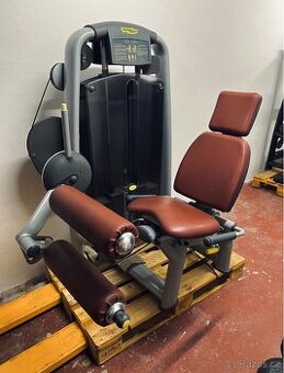 Technogym - Leg Curl - Zakopávaní v sede - Top stav