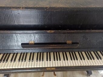 Piano zdarma