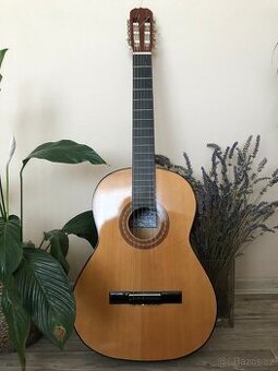 Klasická kytara Yamaha 4/4 - 1
