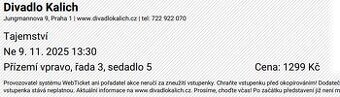 Vstupenky na muzikál Tajemství