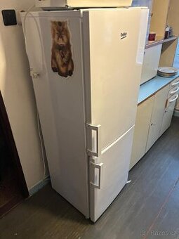 Lednice s mrazákem Beko - 1