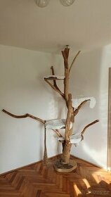 Škrabadlo - kočičí strom