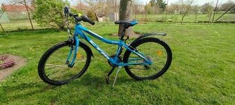 Dětské Kolo CTM Berry 1.0
