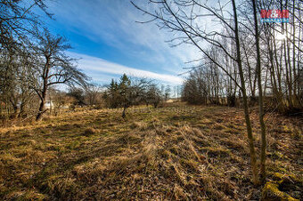 Prodej pozemku k bydlení, 3049 m², Proseč - Česká Rybná