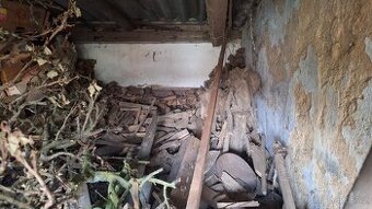 (ZAMLUVENO) Dřevo a Uhlí za odvoz