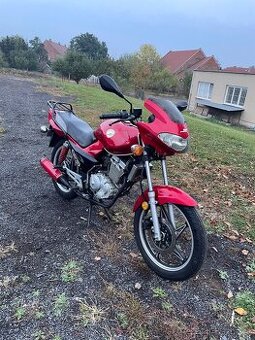 Kentoya Lens 125