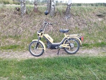 Babeta 210