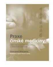 Praxe čínské medicíny