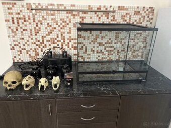 Terarium a svetla