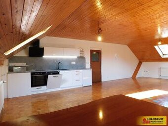 Dobšice, pronájem bytu OV 3+kk, 130 m², zahrada – byt