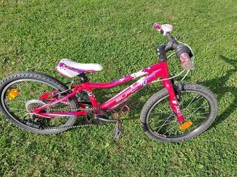 Superior Paint 20"- PĚKNÉ