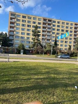 Prodej bytu 2+1 Havlickova ulice