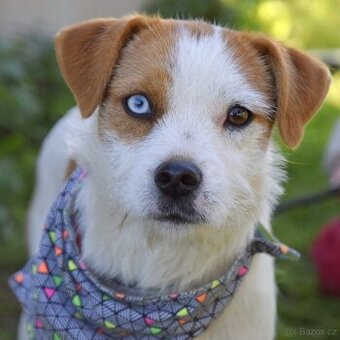 🌈 Judith – veselá dobrodružnice s očky jako z pohádky 🌈